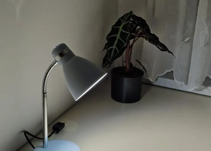 شقة Lastovka ليوبليانا