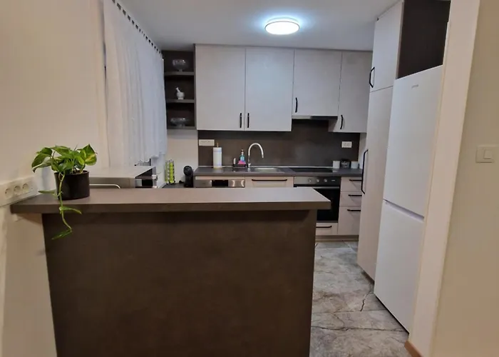 Lastovka * ليوبليانا